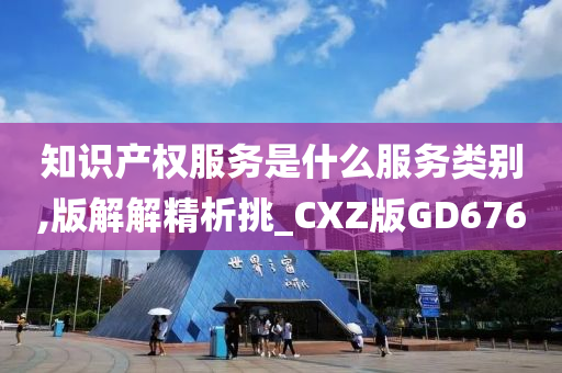 知识产权服务是什么服务类别,版解解精析挑_CXZ版GD676