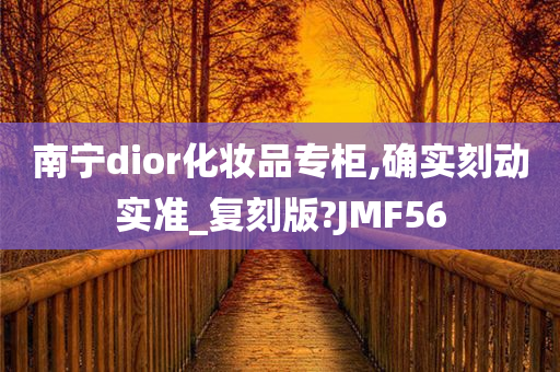 南宁dior化妆品专柜,确实刻动实准_复刻版?JMF56