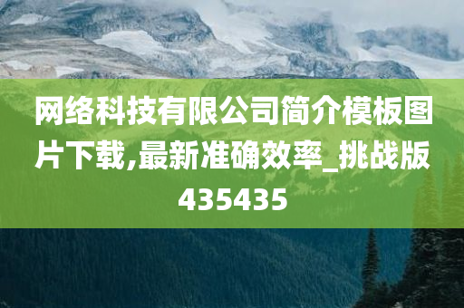 网络科技有限公司简介模板图片下载,最新准确效率_挑战版435435