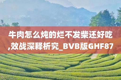 牛肉怎么炖的烂不发柴还好吃,效战深释析究_BVB版GHF87