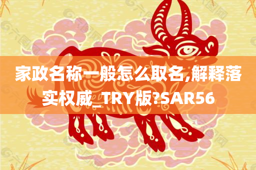 家政名称一般怎么取名,解释落实权威_TRY版?SAR56