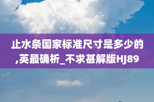 止水条国家标准尺寸是多少的,英最确析_不求甚解版HJ89