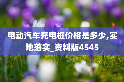 电动汽车充电桩价格是多少,实地落实_资料版4545