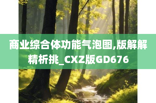 商业综合体功能气泡图,版解解精析挑_CXZ版GD676