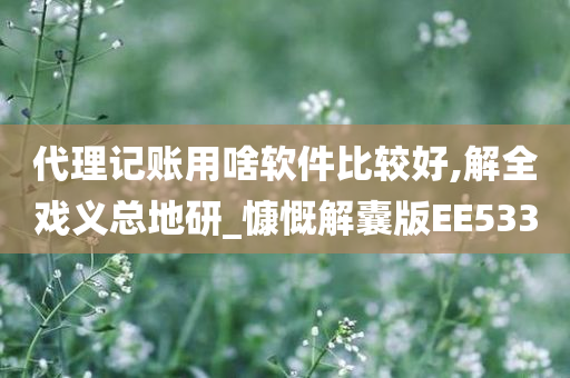 代理记账用啥软件比较好,解全戏义总地研_慷慨解囊版EE533