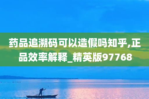 药品追溯码可以造假吗知乎,正品效率解释_精英版97768