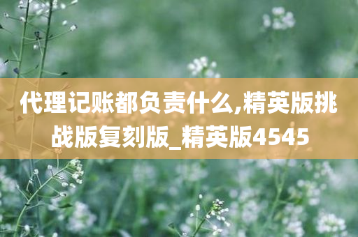 代理记账都负责什么,精英版挑战版复刻版_精英版4545