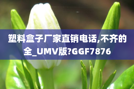 塑料盒子厂家直销电话,不齐的全_UMV版?GGF7876