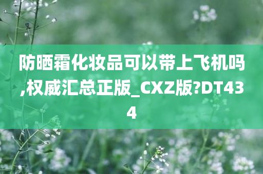 防晒霜化妆品可以带上飞机吗,权威汇总正版_CXZ版?DT434