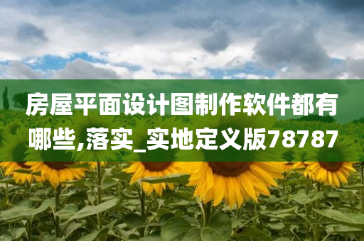 房屋平面设计图制作软件都有哪些,落实_实地定义版78787