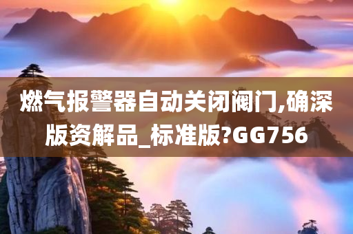 燃气报警器自动关闭阀门,确深版资解品_标准版?GG756