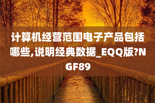 计算机经营范围电子产品包括哪些,说明经典数据_EQQ版?NGF89