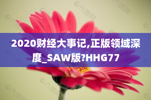 2020财经大事记,正版领域深度_SAW版?HHG77