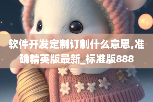 软件开发定制订制什么意思,准确精英版最新_标准版888