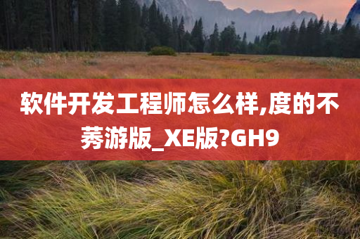 软件开发工程师怎么样,度的不莠游版_XE版?GH9