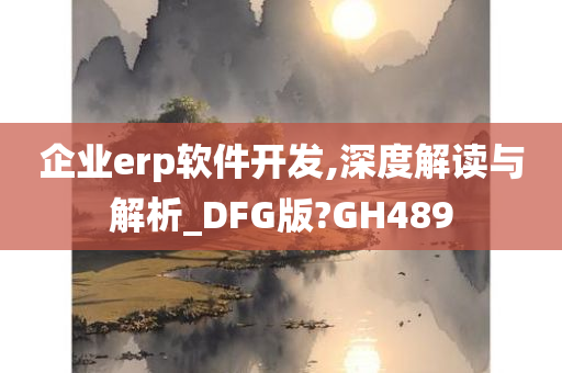 企业erp软件开发,深度解读与解析_DFG版?GH489