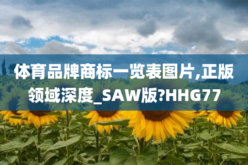 体育品牌商标一览表图片,正版领域深度_SAW版?HHG77