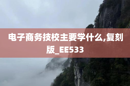 电子商务技校主要学什么,复刻版_EE533