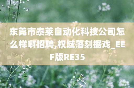 东莞市泰莱自动化科技公司怎么样啊招聘,权域落刻据戏_EEF版RE35