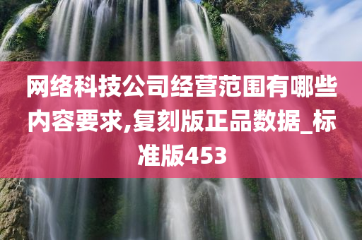 网络科技公司经营范围有哪些内容要求,复刻版正品数据_标准版453