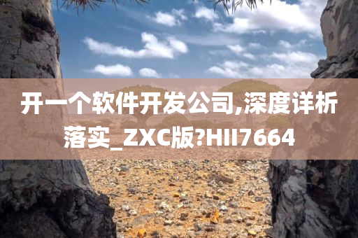 开一个软件开发公司,深度详析落实_ZXC版?HII7664