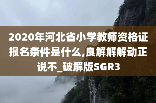 2020年河北省小学教师资格证报名条件是什么,良解解解动正说不_破解版SGR3