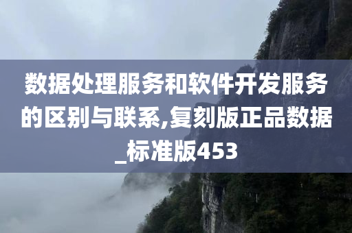 数据处理服务和软件开发服务的区别与联系,复刻版正品数据_标准版453