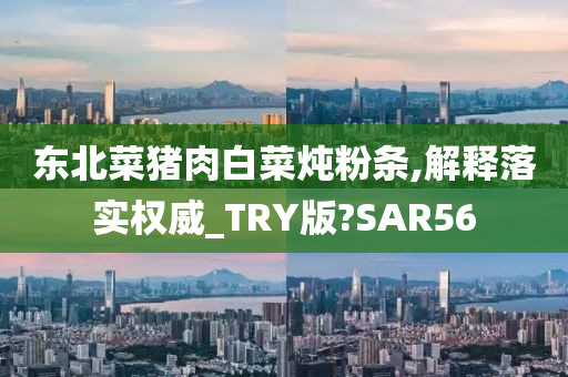 东北菜猪肉白菜炖粉条,解释落实权威_TRY版?SAR56