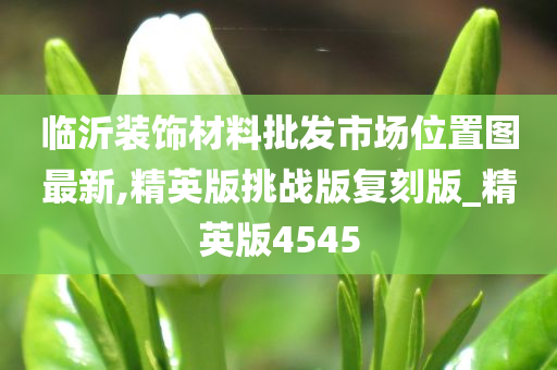 临沂装饰材料批发市场位置图最新,精英版挑战版复刻版_精英版4545