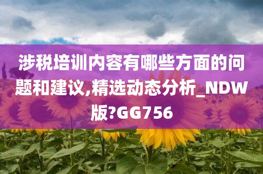 涉税培训内容有哪些方面的问题和建议,精选动态分析_NDW版?GG756