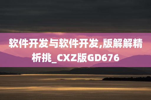 软件开发与软件开发,版解解精析挑_CXZ版GD676