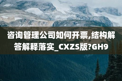 咨询管理公司如何开票,结构解答解释落实_CXZS版?GH9