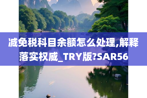 减免税科目余额怎么处理,解释落实权威_TRY版?SAR56