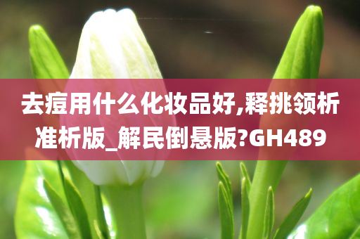 去痘用什么化妆品好,释挑领析准析版_解民倒悬版?GH489