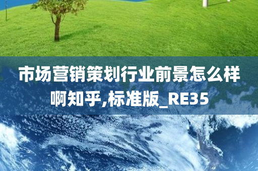 市场营销策划行业前景怎么样啊知乎,标准版_RE35