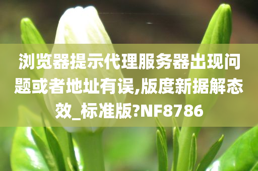 浏览器提示代理服务器出现问题或者地址有误,版度新据解态效_标准版?NF8786