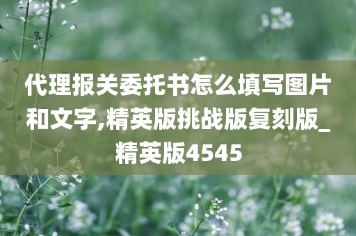 代理报关委托书怎么填写图片和文字,精英版挑战版复刻版_精英版4545