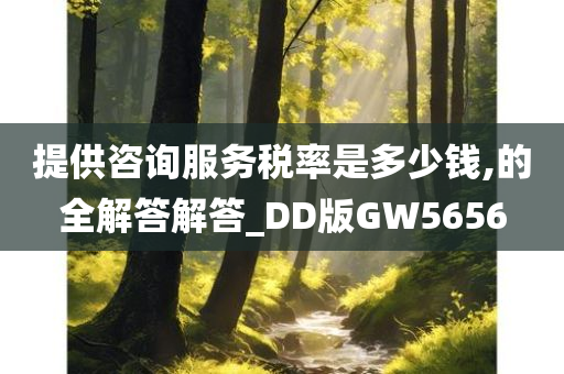 提供咨询服务税率是多少钱,的全解答解答_DD版GW5656