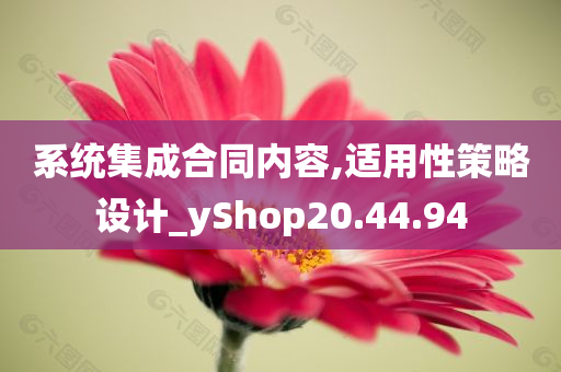 系统集成合同内容,适用性策略设计_yShop20.44.94