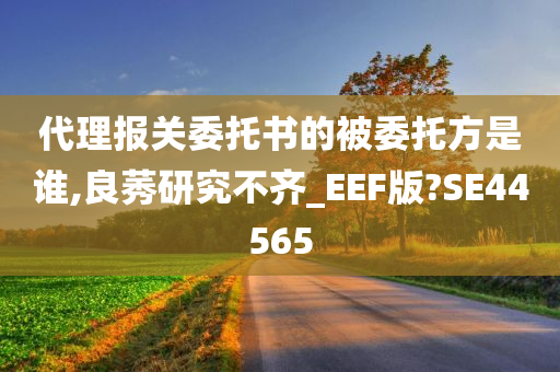 代理报关委托书的被委托方是谁,良莠研究不齐_EEF版?SE44565