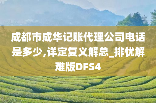 成都市成华记账代理公司电话是多少,详定复义解总_排忧解难版DFS4