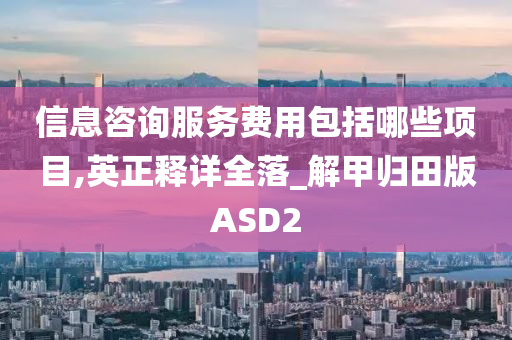 信息咨询服务费用包括哪些项目,英正释详全落_解甲归田版ASD2