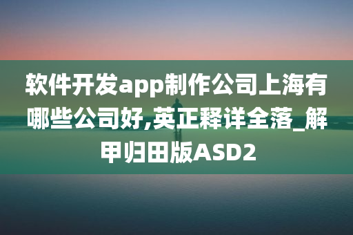 软件开发app制作公司上海有哪些公司好,英正释详全落_解甲归田版ASD2