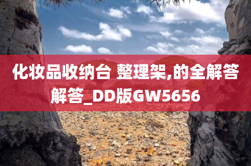 化妆品收纳台 整理架,的全解答解答_DD版GW5656