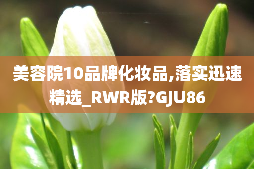 美容院10品牌化妆品,落实迅速精选_RWR版?GJU86