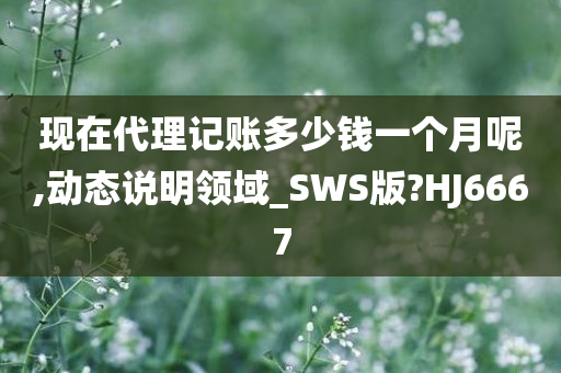 现在代理记账多少钱一个月呢,动态说明领域_SWS版?HJ6667