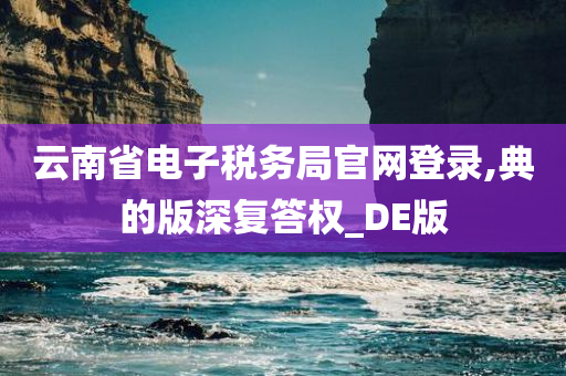 云南省电子税务局官网登录,典的版深复答权_DE版