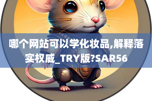 哪个网站可以学化妆品,解释落实权威_TRY版?SAR56