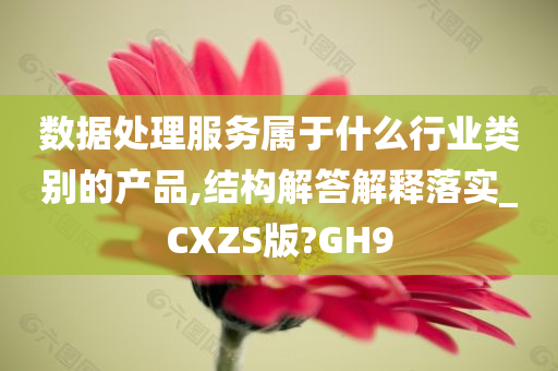 数据处理服务属于什么行业类别的产品,结构解答解释落实_CXZS版?GH9