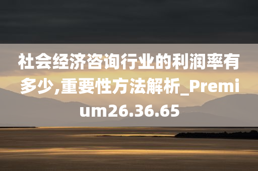 社会经济咨询行业的利润率有多少,重要性方法解析_Premium26.36.65